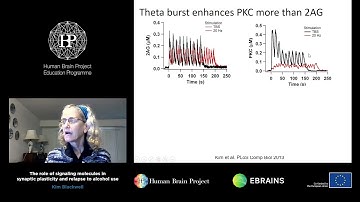 Blackwell Kim - The role of signaling molecules in synaptic plasticity and relapse to alcohol use