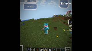 Elytra mace trick pro #minecraft wembu ☠️