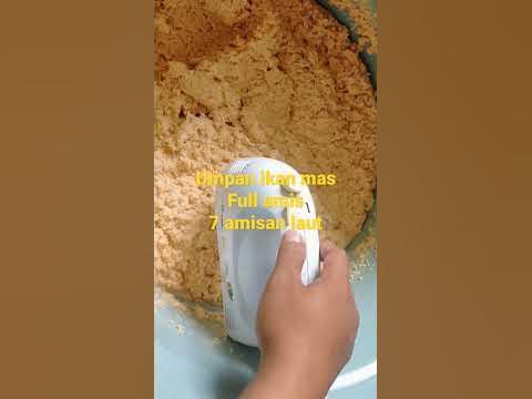 Umpan ikan Mas paling Gacor