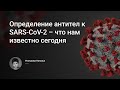Определение антител к SARS-CoV-2 – что нам известно сегодня