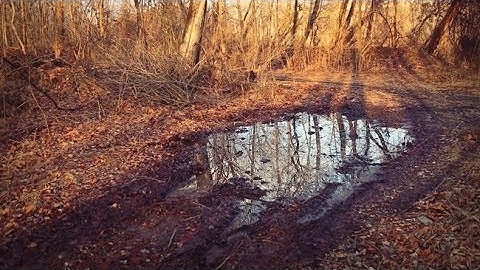 Dynamic Symmetry for Photography and Using the Grid by Tavis Leaf Glover