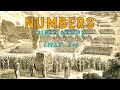 NUMBERS 5 - 6 : Cleansing the Camp