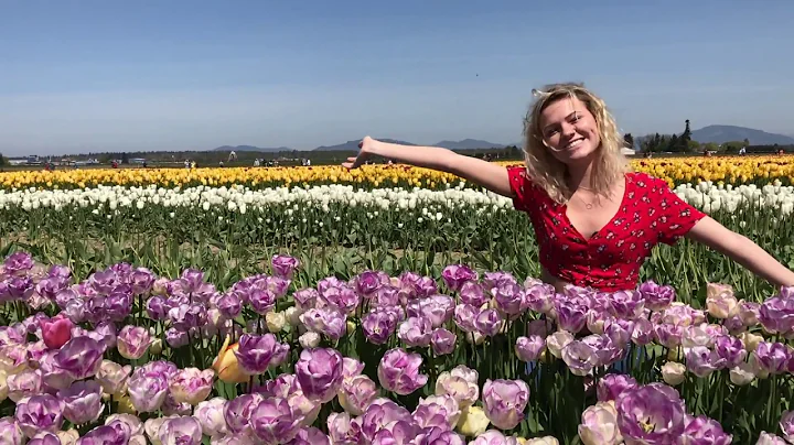 Katherine Busch Bachelor Video