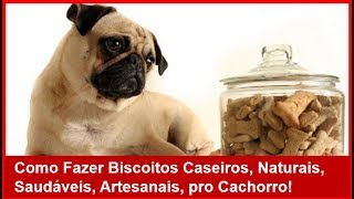 💲 ganhe dinheiro fazendo biscoito caseiro saudável para cachorro petisco para cachorro
