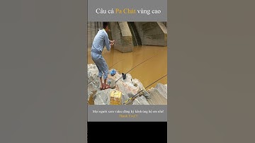 Câu Cá Pa Chát | Câu Cá Giải Trí Và Ẩm Thực #shorts