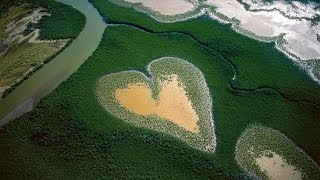 Дом. История путешествия | 1 часть | полная версия HD1080p Дом. История путешествия | 1 часть | полная версия HD1080p