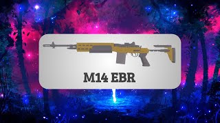 M14 Ebr 5 Bullets Zombie Stories