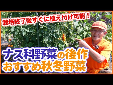 家庭菜園でナス科野菜が終わったら！トマト・ナス・ピーマン後作におすすめの野菜を紹介！連作障害を気にせず楽しめる野菜とは！？【輪作】【農園ライフ】