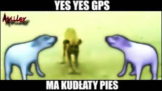 YES YES GPS xD
