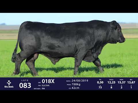 LOTE 83 - TAT 018X