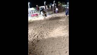 Spear J Cattle Company - Hitching Post Bull Riding
