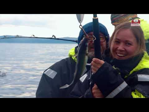 Мурманская область. Современный путеводитель - YouTube