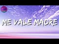 🎵🎵Los Dos Carnales - Me Vale Madre (Letra\Lyrics)