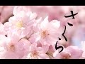 癒しBGM！リラックスBGM！ピアノインスト曲です！睡眠用や作業用にも！！