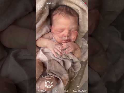 Кукла реборн Macie