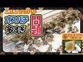 【女王不在のサイン、見逃してませんか?】日本みつばちの養蜂 How to Beekeeping