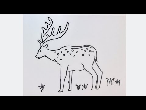 簡単 シカの描き方 イラスト お絵描き Easy How To Draw Deer Illustration Draw Youtube