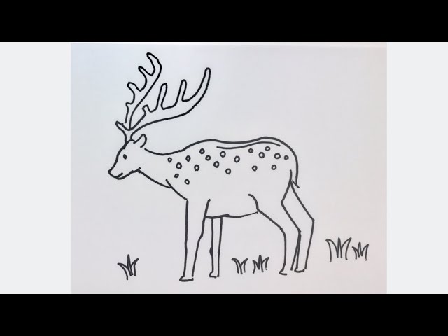 簡単 シカの描き方 イラスト お絵描き Easy How To Draw Deer Illustration Draw Youtube