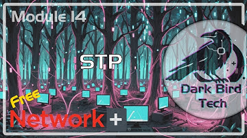 Free CompTIA Network+ Training - Module 14 - Spanning Tree Protocol (N10-009)