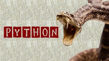 Python Snake Facts : Interesting Facts you should know | Snake Facts