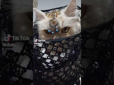 انا مغرم بعنيكي السود