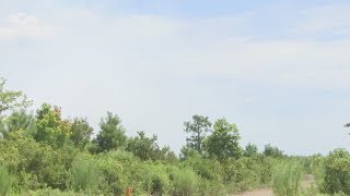 Juniper Road Two fire at 1,230 acres burned, 25% contained