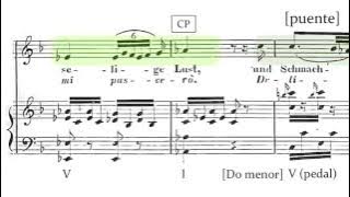 Gioachino Rossini - Tancredi - 'Di tanti palpiti' (Análisis)