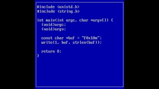 forgor0x10 - backbuffer__copy