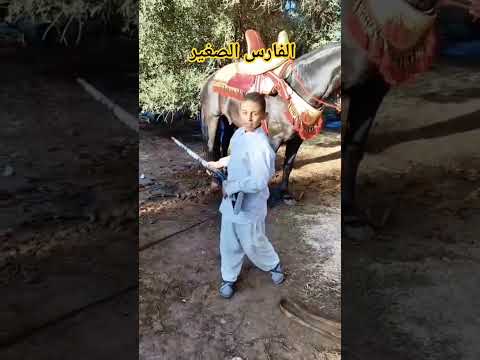 الفارس الصغير من فرقة جمعية شلالات اوزود بمهرجان افورار