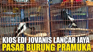 PASAR PRAMUKA !! UPDATE HARGA BURUNG KIOS EDI JOVANIS LANCAR JAYA