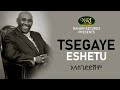 Tsegaye Eshetu -  Alasgedidishim - አላስገድድሽም - Ethiopian Music
