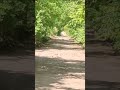 Птички невилички.