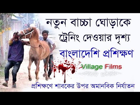 ভিডিও: কীভাবে একটি শামুকের খাঁচা তৈরি করবেন (ছবি সহ)