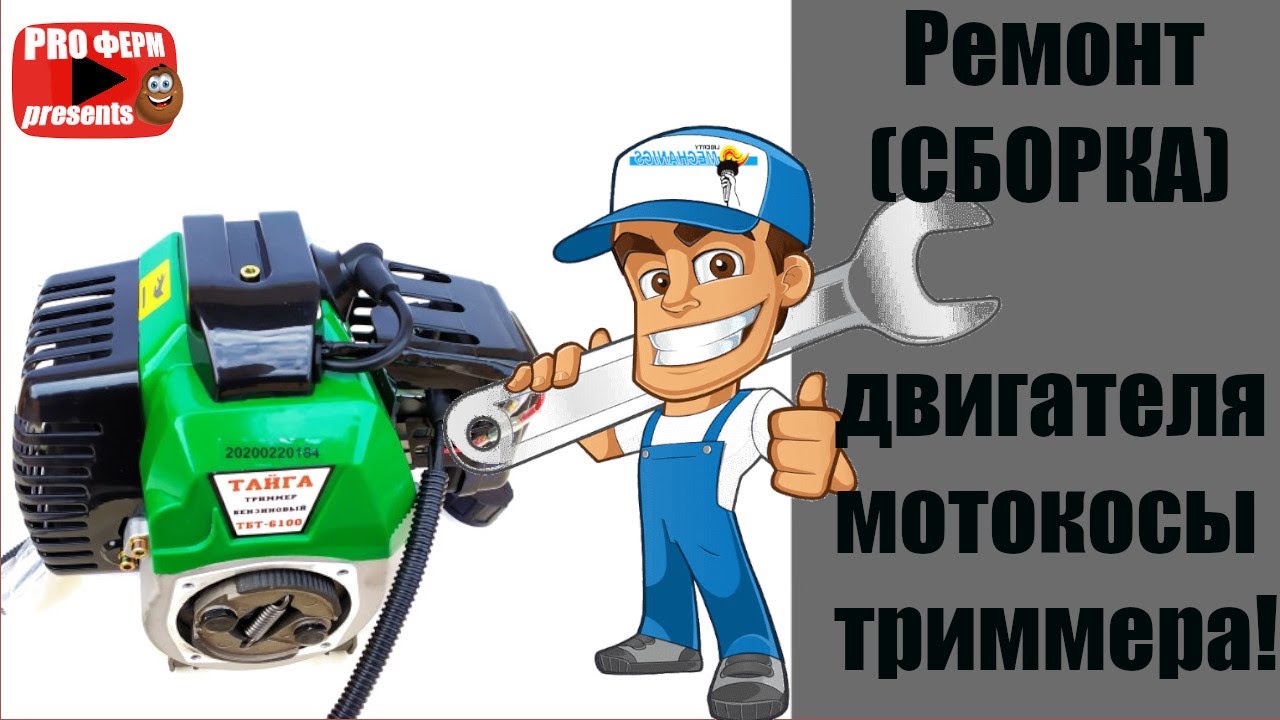 Сборка двигателя бензокосы