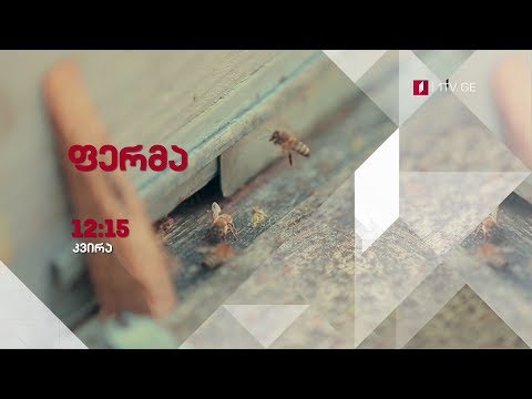 პირველ აპრილს, 12:15 საათზე, - \"ფერმა\"