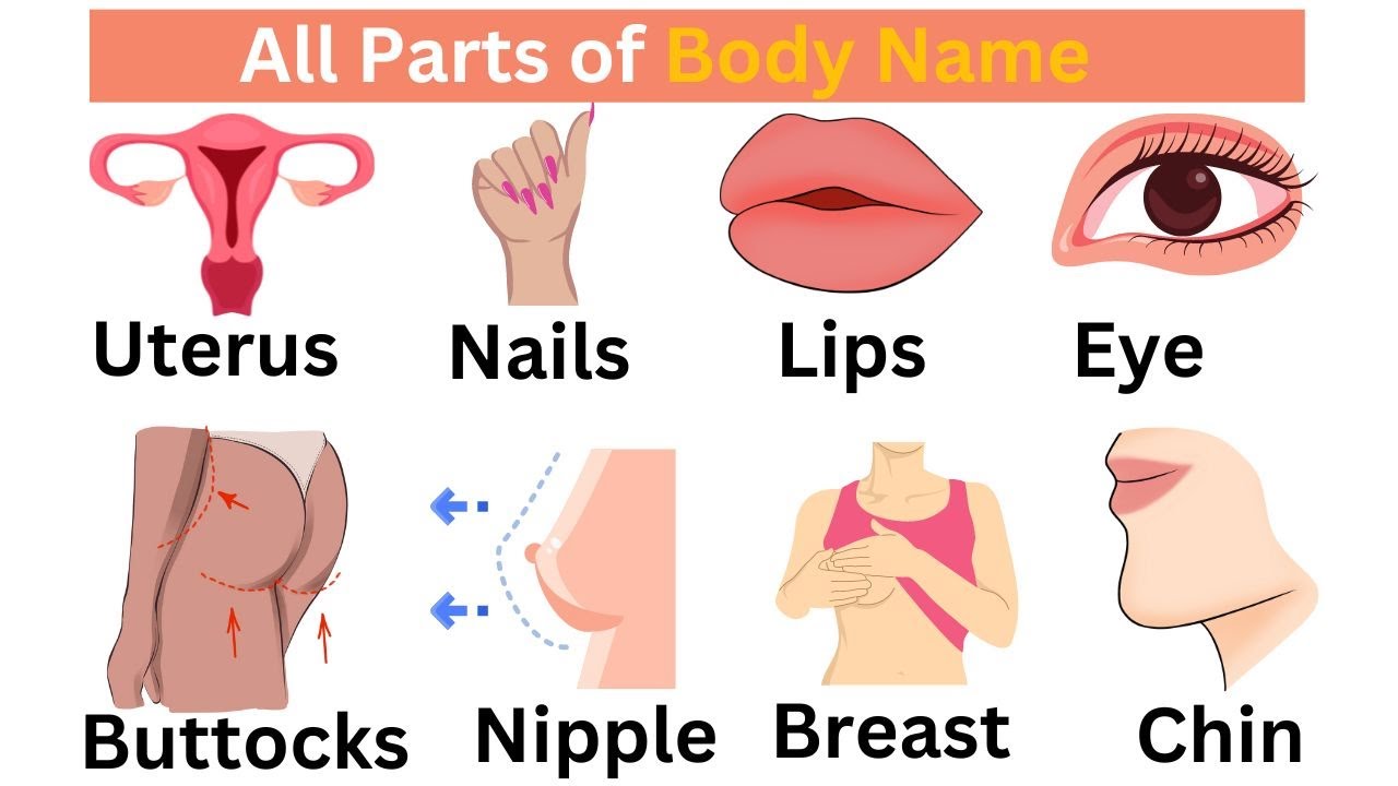 Learn English Body Parts Faster With Quicklyenglish YouTube Learn english body parts faster with quicklyenglish youtube