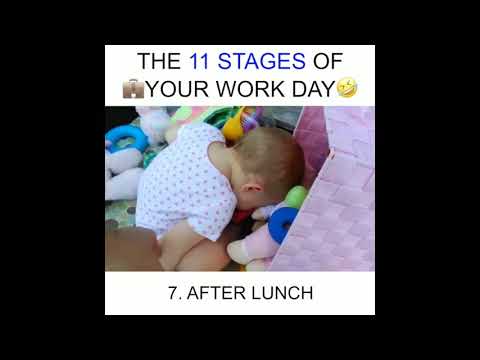 The 11 stages of your work day......