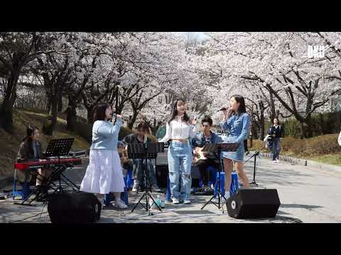 230330 단국대학교 천안캠퍼스 벚꽃길버스킹 3번째곡
