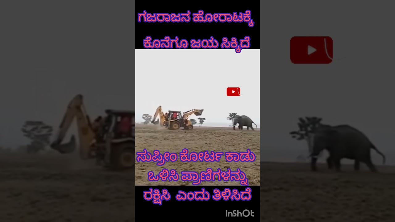 Supreme Court stayed tree felling on 400 acres of land in Kancha GACHIBOWLI