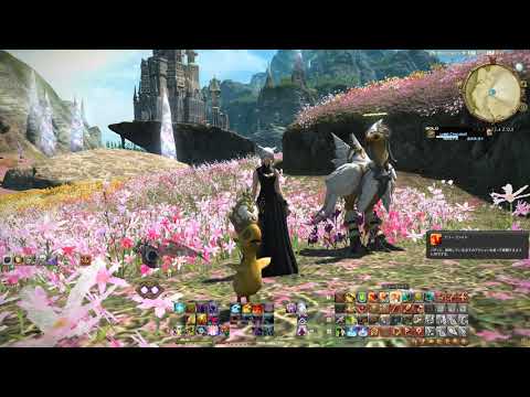 HomedeChocobo おうちでチョコボ 2020