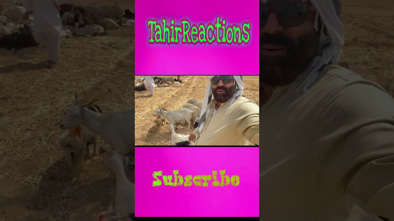 Daily life vlogs on desi family vlog 