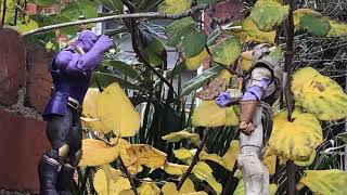 Thanos vs. Thanos screen test