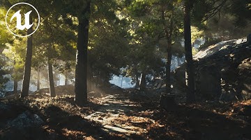 Virtual Pine Garden | UE5 [4K]