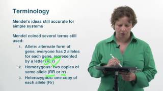 Biology 2 5 1