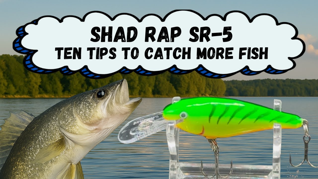 Rapala Shad Rap SR-5 – Ten Tips To Catch More Fish
