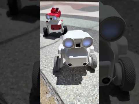 Meet Beni: a two-legged robot companion  #TITW