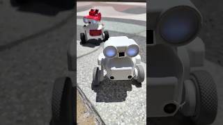 Meet Beni: a two-legged robot companion  #TITW