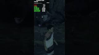 The Last Guardian PS4 Emulation Hits 4K 60FPS on ShadPS4 – R9 9950X3D + RTX 5090