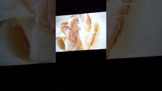 Hardees Commercial 2023