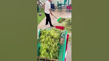 Small forage baler #foragebaler #haybaler #baler #feedgranulator #forage #grass #cowfeed #sheepfeed